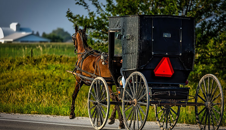 amish