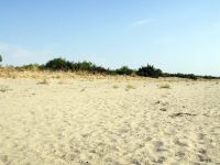 Scanzano Jonico, la spiaggia di sabbia fine